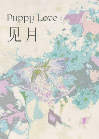 见月似你