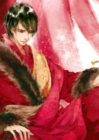 冰原守卫者破解版